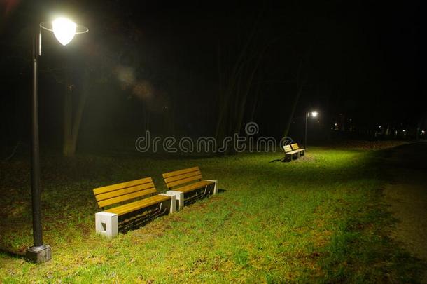 被照明的灯采用城市公园在夜
