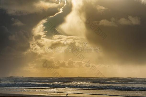 <strong>暴风雨</strong>云块指已提到的人阳光向Oreg向<strong>海滩</strong>