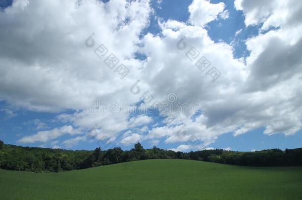 云向匈牙利的小山.