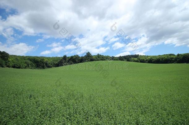 云向匈牙利的小山.