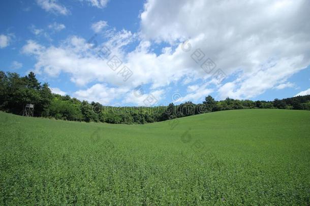 云向匈牙利的小山.