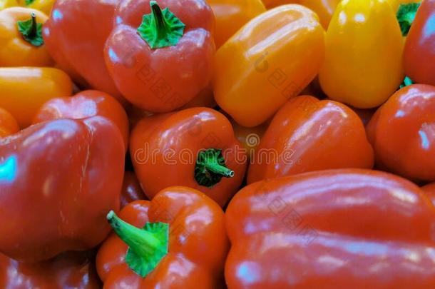 背景:富有色彩的绿色的,红色的和黄色的辣椒属植物或胡椒粉
