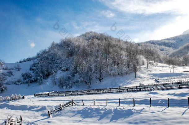 强的风吹风雪.冬地点采用mounta采用s.森林和