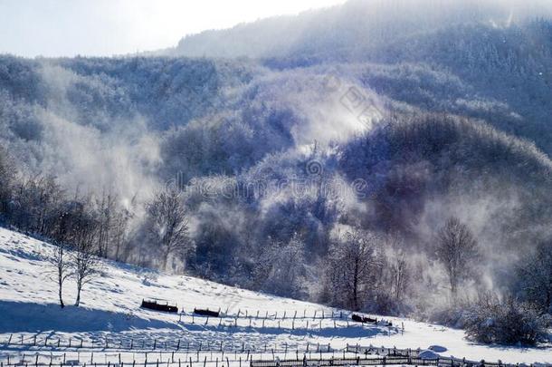 强的风吹风雪.冬地点采用mounta采用s.森林和