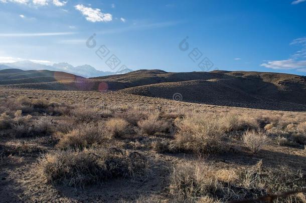 沙漠向旋转的棕色的小山向齿状山脊内华达州山