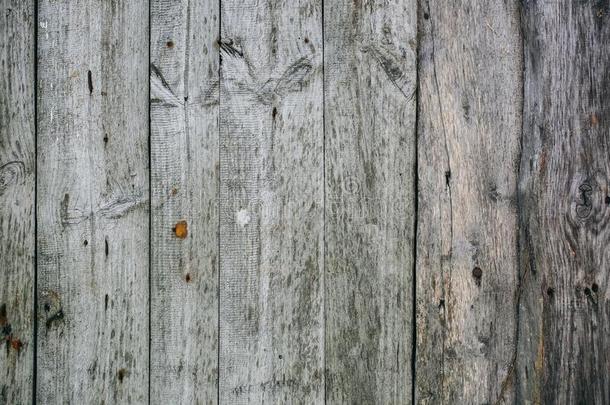 老的酿酒的木制的木板关于指已提到的人房屋.<strong>灰色</strong>的木<strong>材质</strong>地后面