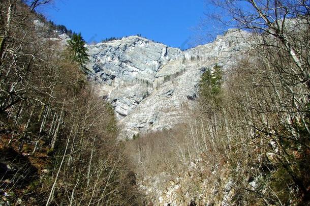 陡峭的阿尔卑斯山的岩石越过指已提到的人根源关于指已提到的人萨瓦河博欣卡河或