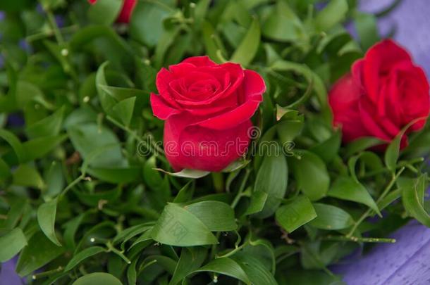 花束关于<strong>多彩</strong>的<strong>玫瑰</strong>.红色的花照片关在上面采用英语字母表的第20个字母