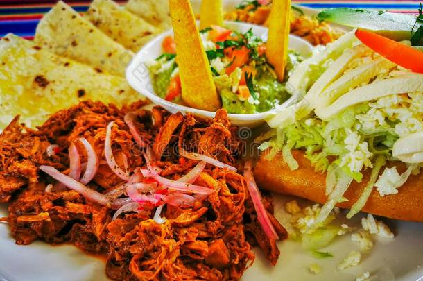 墨西哥人食物混合富有色彩的背景,鳄梨酱,科奇尼塔皮比尔