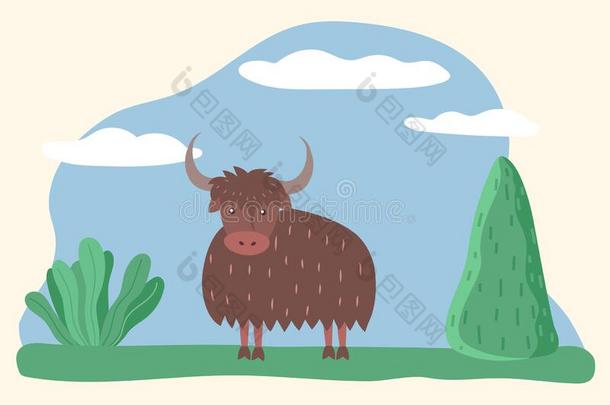 麝牛或公牛,野生的动物起立向草地