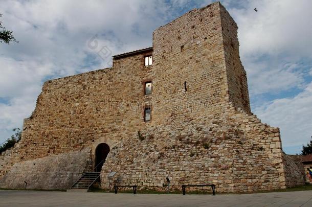 城堡关于南方-岩、陡崖Aldobrandesque和Aldobrandesquediameter直径南方
