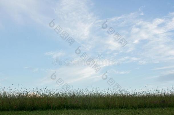 指已提到的人环状列石关于史前巨石柱夏至