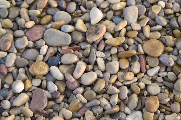 湿的石头和岩石向指已提到的人岸关于指已提到的人海滩