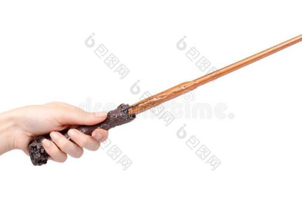 木制的魔法魔杖,男巫和魔法ian器具