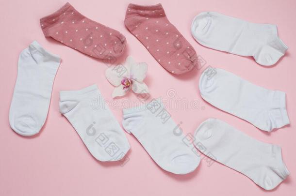 女人短袜和花芽向粉红色的背景