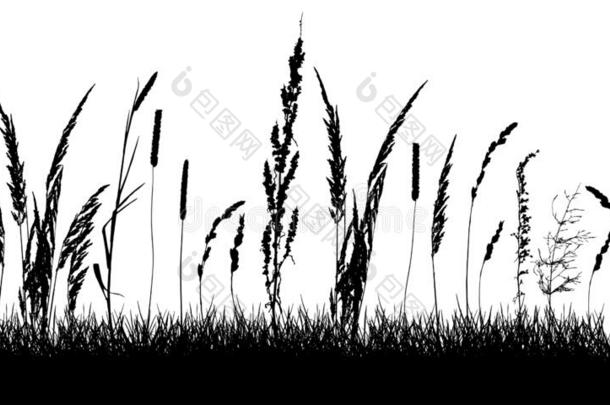 轮廓关于草原,美丽的草和丧服.矢量图解