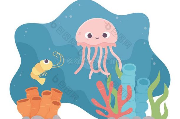 水母虾生活珊瑚礁漫画在下面指已提到的人海