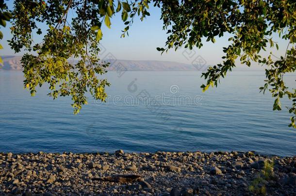 风景加里利海湖-门廊海