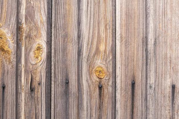 木制的背景.木板和结和钉子.木材围栏栅栏.