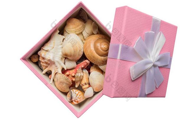 粉红色的礼品盒和白色的<strong>弓满</strong>的关于海壳隔离的向白色的