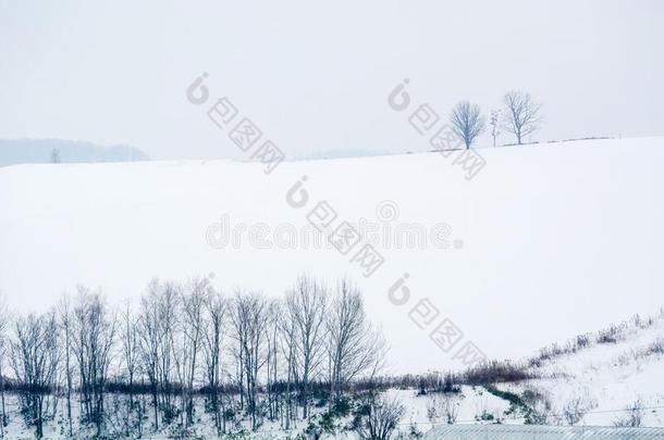 <strong>北海道</strong>雪地点