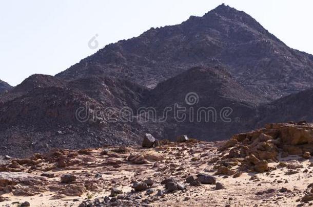 埃及.沙漠和山关于指已提到的人Sinai半岛西奈山半岛.