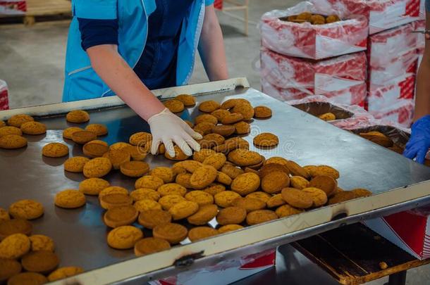 甜食员工是资料排架和包装燕麦饼干向SaoTomePrincipe圣多美和普林西比