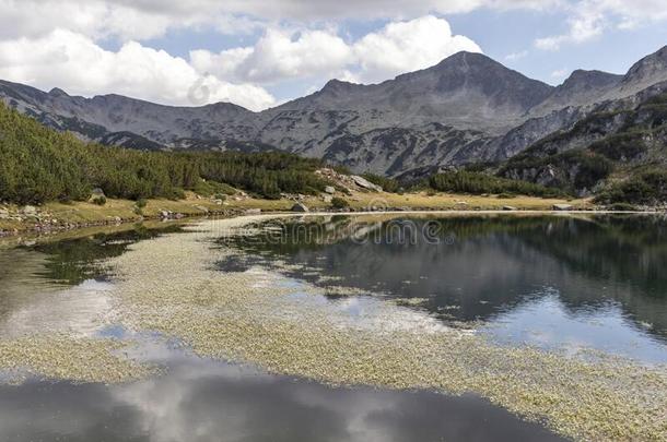 风景关于穆拉托夫湖在皮林山,保加利亚