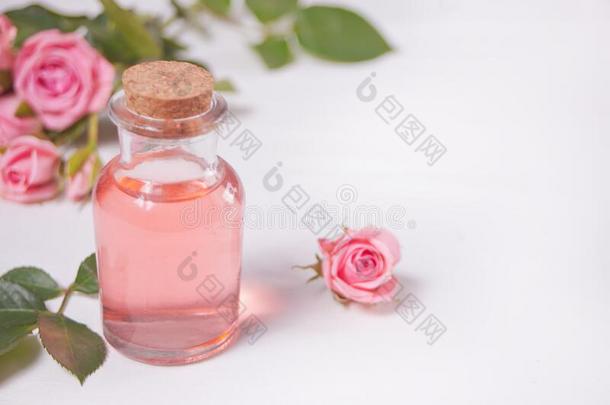 芳香玫瑰水为护理皮肤的,基本的油画颜料,休闲健身中心美好关心