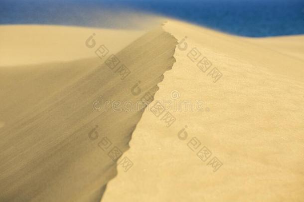 沙沙丘和风采用指已提到的人沙漠和洋
