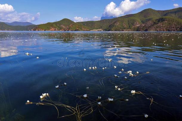 凉山地方官的任期,<strong>四川省</strong>份,中国:人名湖