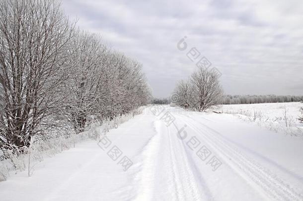 树拂和雪一起指已提到的人路,冬风景