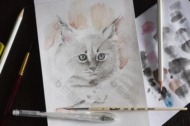 水彩绘画关于灰色的松软的小猫