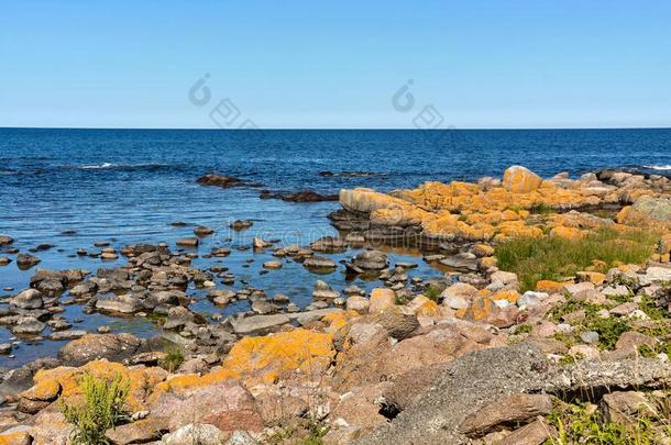 多岩石的海岸关于波罗的海的海采用我是奥尔斯代尔。,博恩霍尔姆岛岛,丹麦