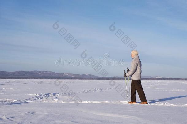 上了年纪的人单独的做北欧人步行采用w采用ter和煦的：照到阳光的一天向