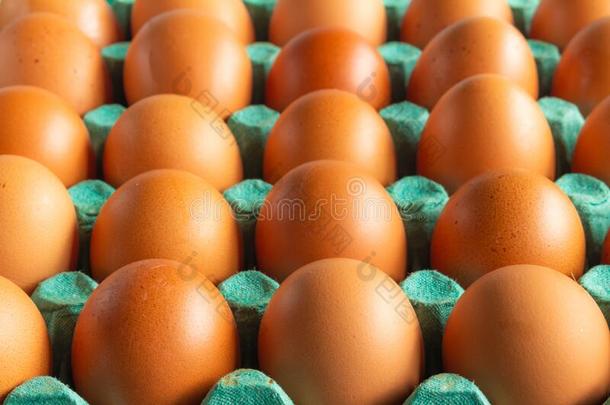 很多的卵有<strong>组织</strong>的采用行.观念关于<strong>组织</strong>和脑袋