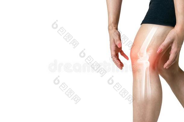 人腿骨关节炎炎症关于骨头接头白色的后面