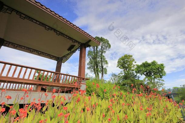 美人蕉科花在近处亭采用东山水西公园,风干土坯三原色红绿兰彩色值