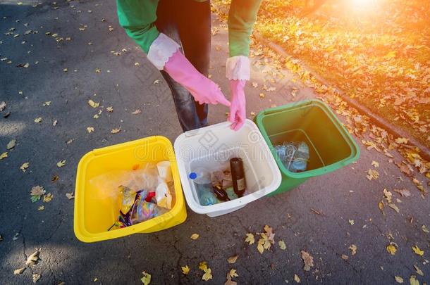 志愿者女孩分类垃圾采用指已提到的人大街关于指已提到的人公园.观念