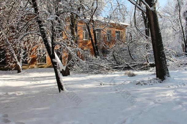 冬风景.二月雪漂流物和雪漂流物