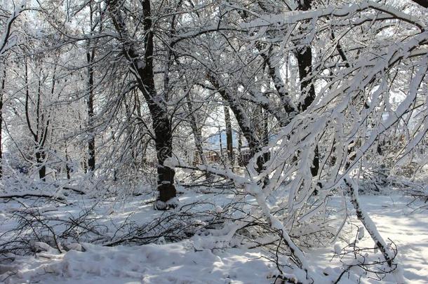 冬风景.二月雪漂流物和雪漂流物