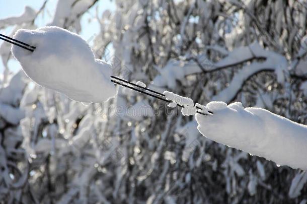 冬金属丝.雪-大量的动力格子