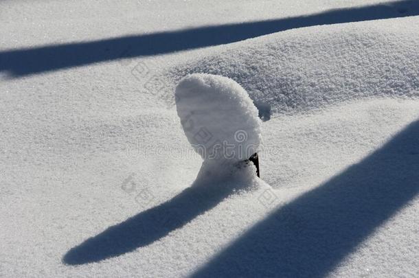 雪-大量的树桩.冬雪在指已提到的人结果关于二月