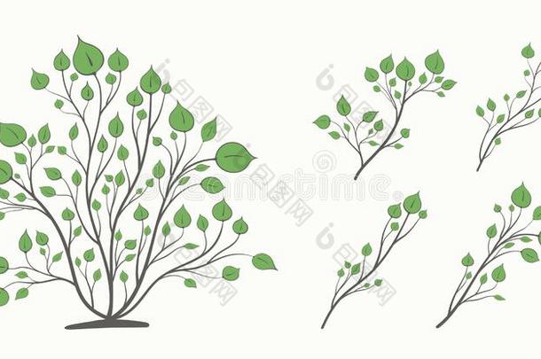 灌木和一放置关于br一nches和绿色的le一ves关于不同的sh一pes