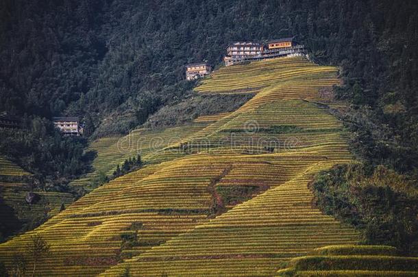 职责台阶和村在隆吉,广西,中国