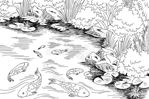 池塘锦鲤挑剔鱼图解的黑的白色的风景草图厄斯特拉