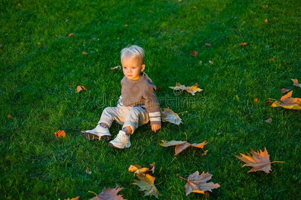 幸福的婴儿男孩谎言经过阵亡者树叶和绿色的草.秋意盎然