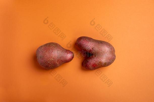两个非-标准难看的新鲜的生的马铃薯不常见的形状说谎向口