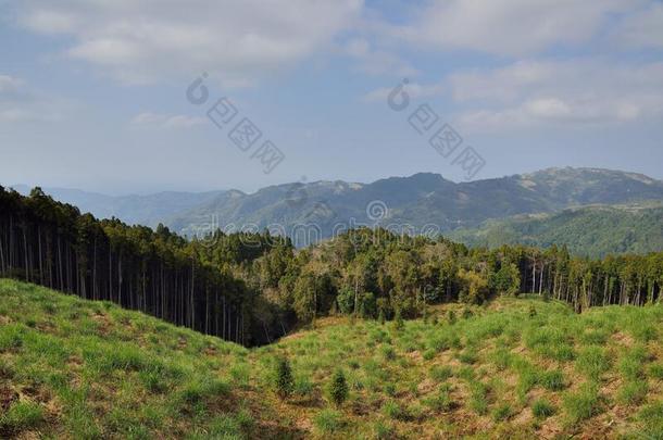 山风景.