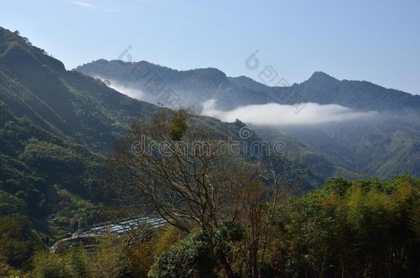 山风景.